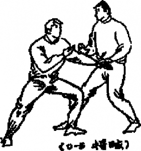 圖片146