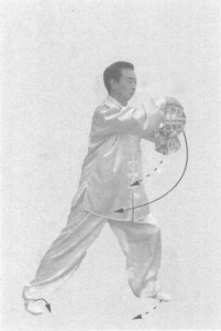 圖片82