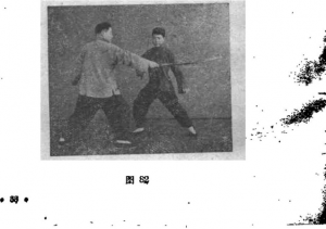 圖片41