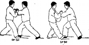 圖片181