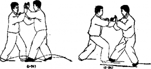 圖片195