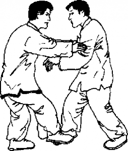 圖片52