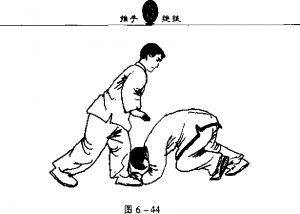 圖片108