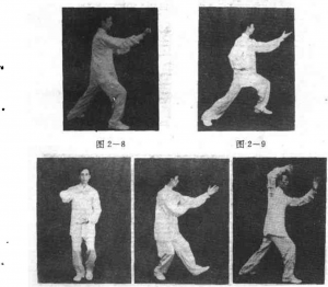 圖片7