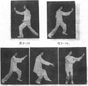 圖片8