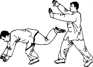 圖片13