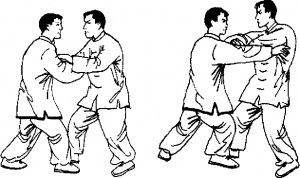圖片16