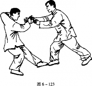 圖片17