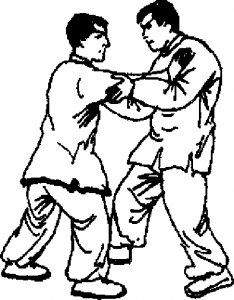 圖片31