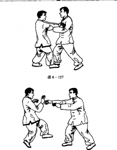 圖片41