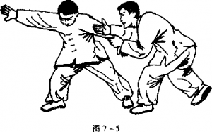 圖片56