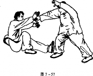 圖片81