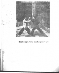 圖片2