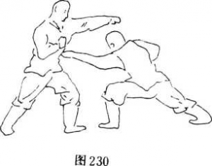圖片48
