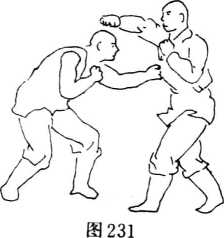 圖片49