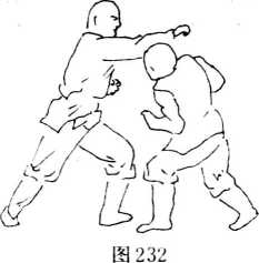 圖片50