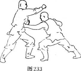 圖片51