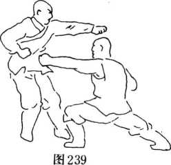 圖片56