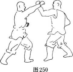 圖片62