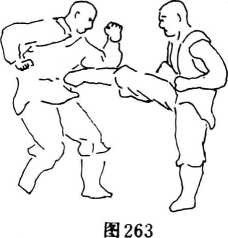 圖片73