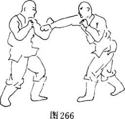 圖片76
