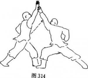 圖片113