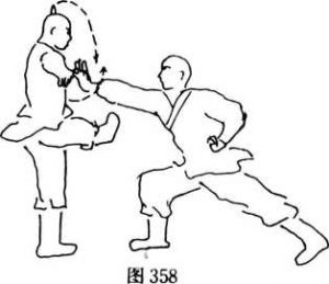 圖片147