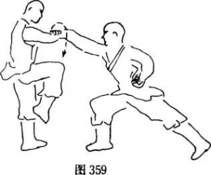 圖片148