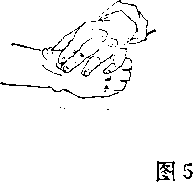 圖片11