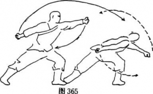 圖片154