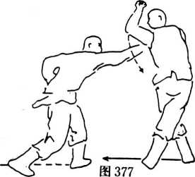 圖片166