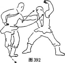 圖片178