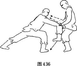 圖片215
