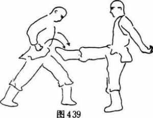 圖片219