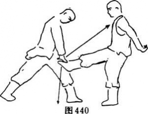 圖片220