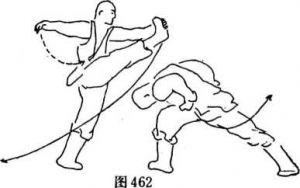 圖片236