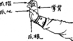 圖片5