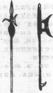 圖片81