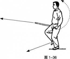 圖片195