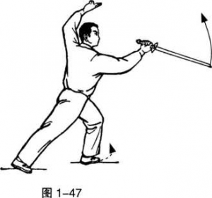 圖片204