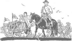 圖片12