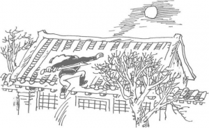 圖片14