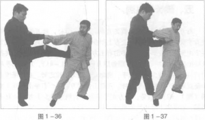 圖片15