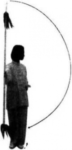 圖片15