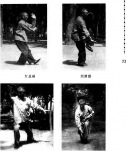 圖片8
