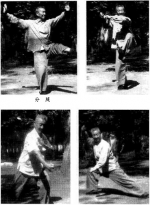 圖片11
