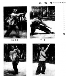 圖片16