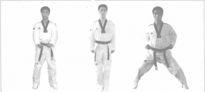 圖片8