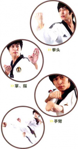 圖片4