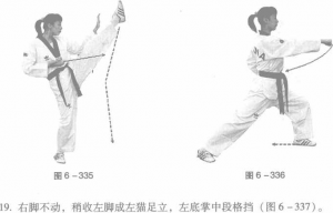 圖片52